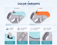 CoolPaw™ Cooling Vest for Dogs — outdoor summer walk use
