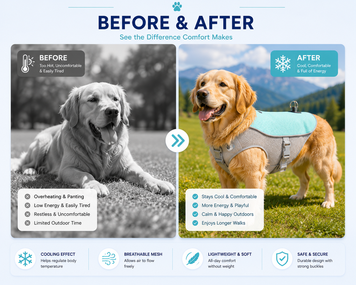 CoolPaw™ Cooling Vest for Dogs — front view showing full design