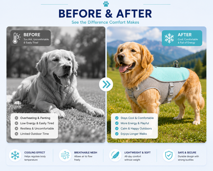 CoolPaw™ Cooling Vest for Dogs — front view showing full design
